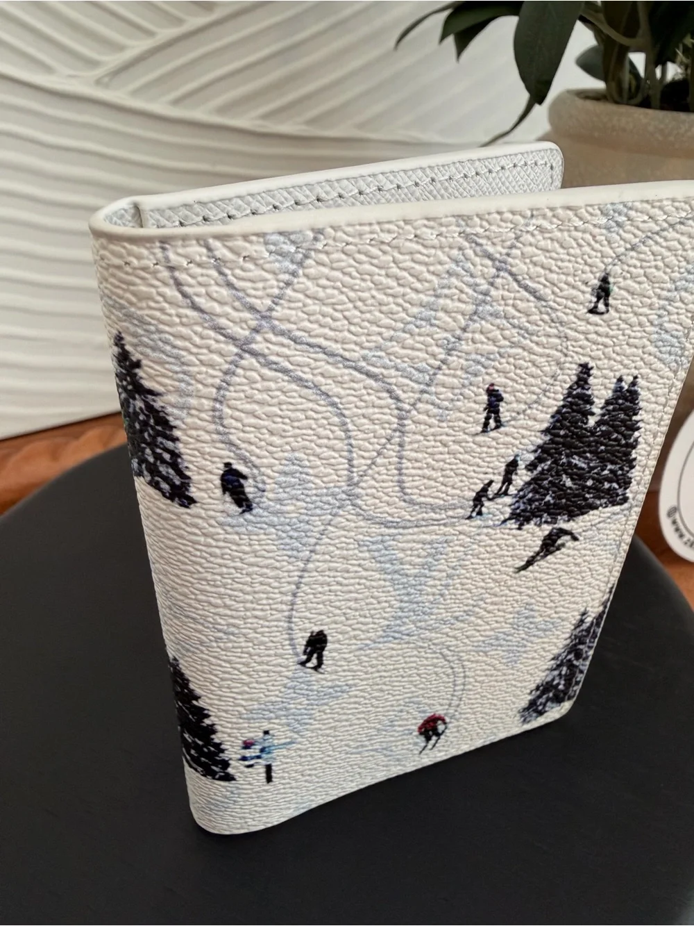 Louis Vuitton Ski Pocket Organizer